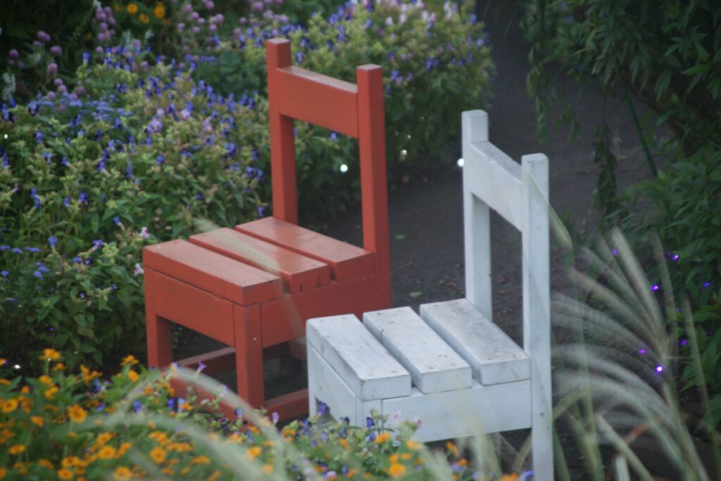 庭と椅子