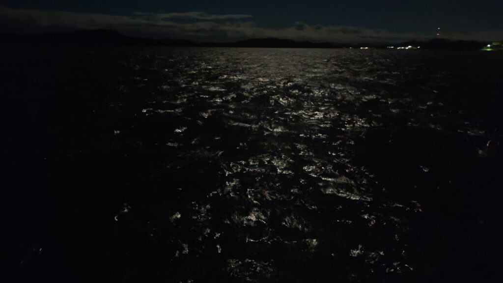 夜の海