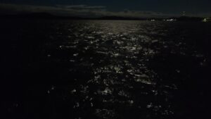 夜の海