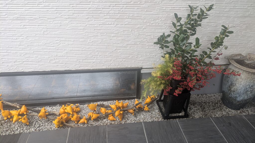 南天とフォックスフェイス